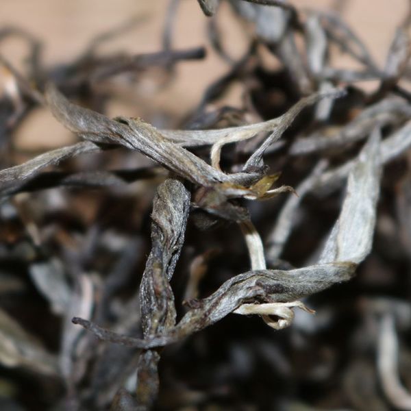 2021年帕沙古樹秋茶，你了解多少？
