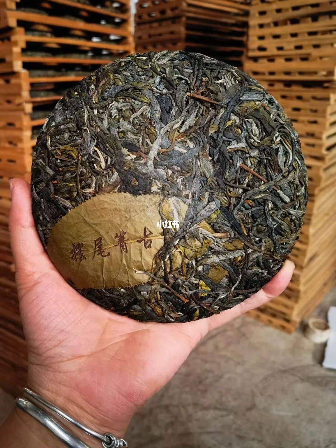 2022年寧洱 擺尾箐古樹(shù)春茶價(jià)格？