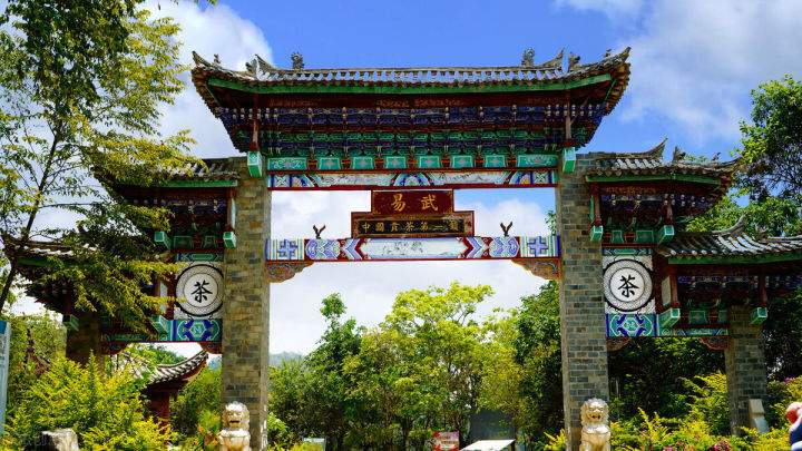 2022年易武正山在哪？易武正山是什么意思？