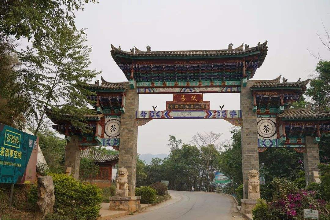 2022年易武正山古樹春茶特點(diǎn)？