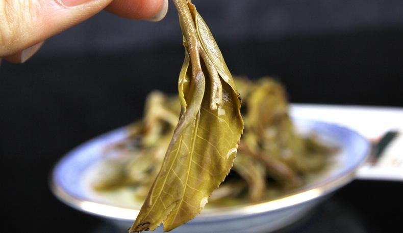 2022年冷水河古樹春茶價(jià)格？