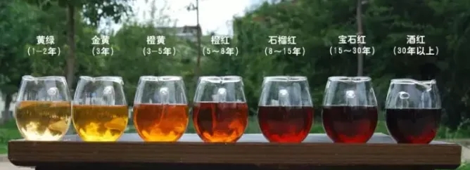 2022年普洱茶的茶湯湯色要怎么描述？