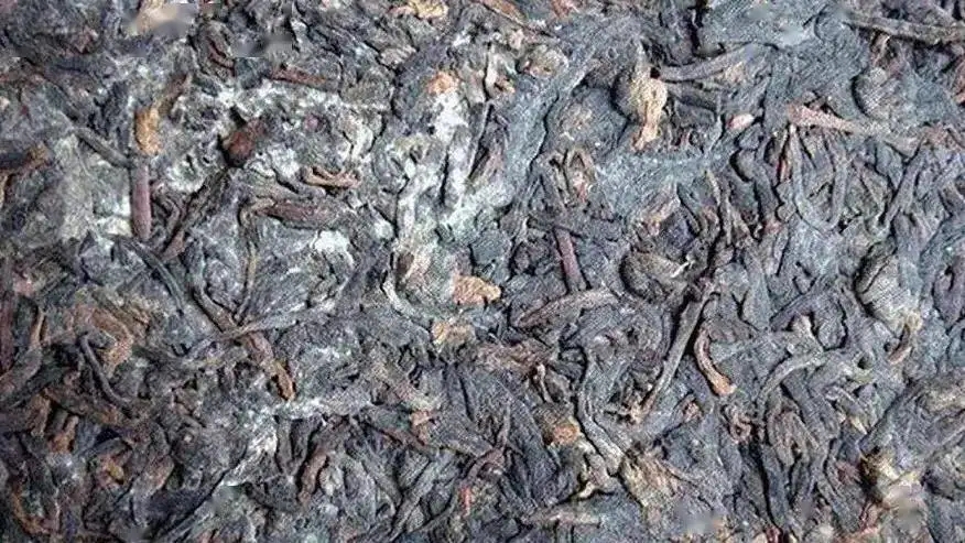 普洱茶怎么樣才算發(fā)霉？