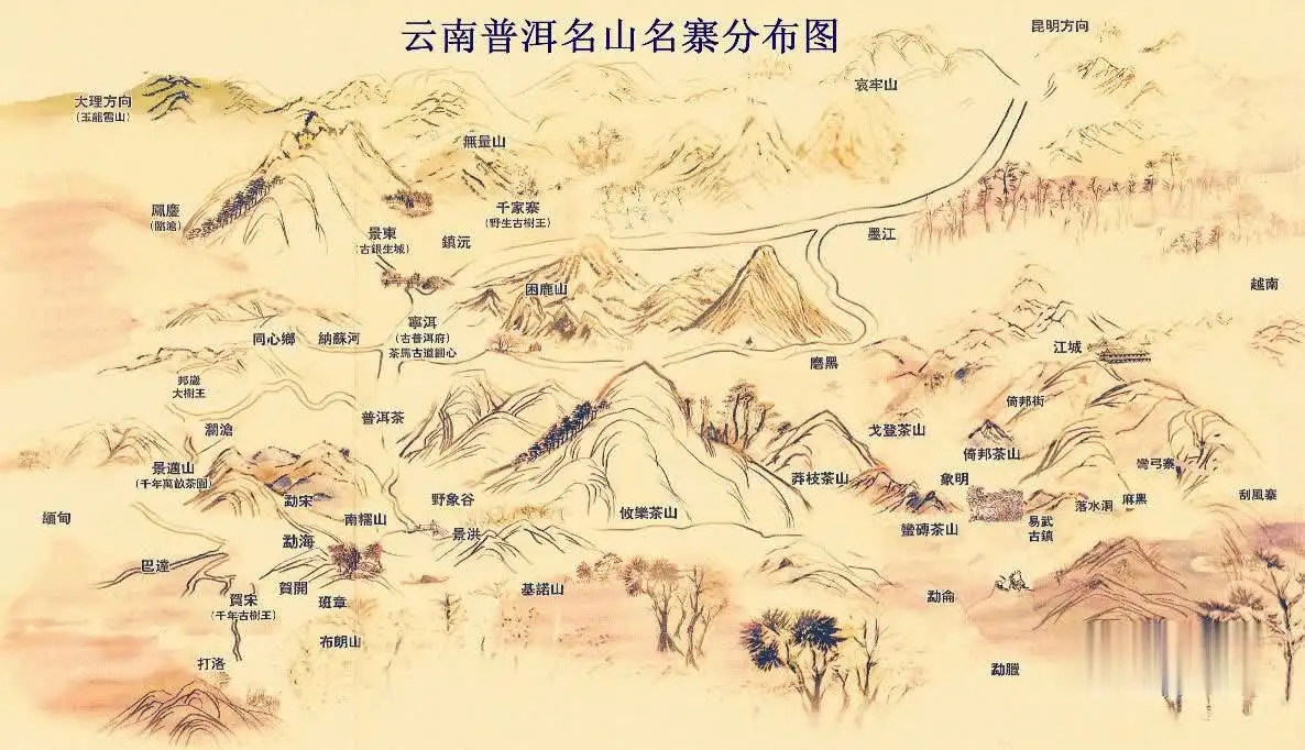 普洱茶怎么分山頭？
