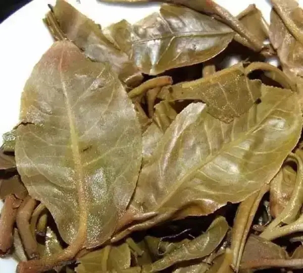 怎么看古樹普洱茶葉底？