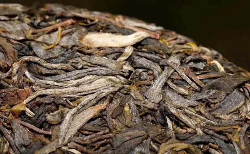 別瞎扯普洱茶的“霸氣”！偽大師！