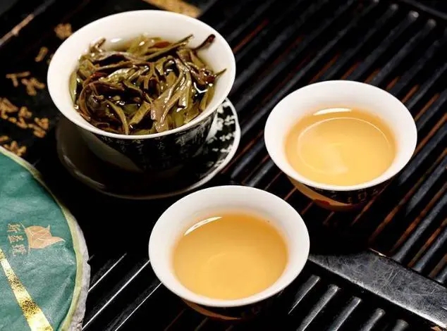 茶會“說話”，讀懂云南古樹普洱茶的秘訣