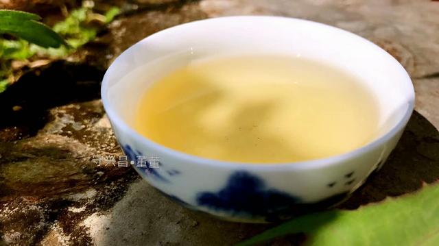 普洱茶有31種香味，你能聞出幾種來?