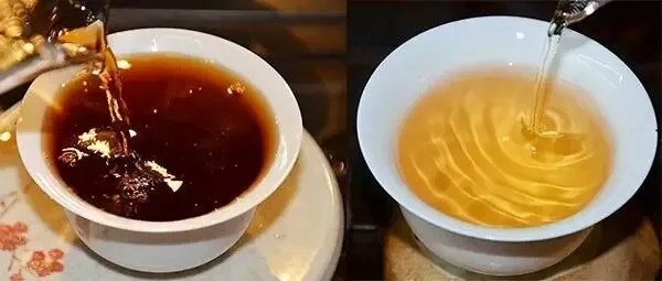 普洱茶湯怎么也會(huì)“出油”？