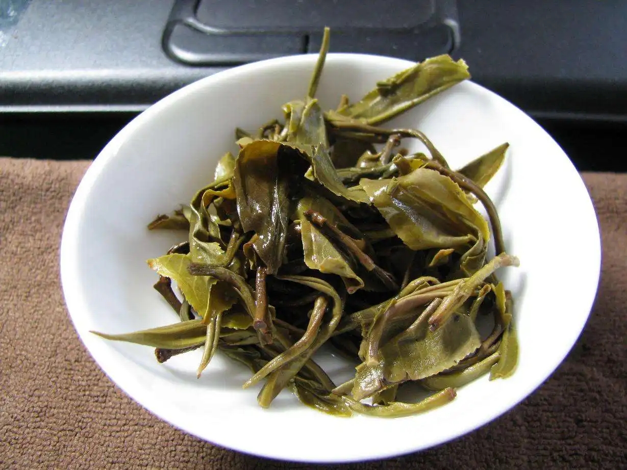 普洱茶的葉底有茶梗，就是茶不好嗎？