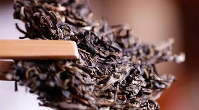 普洱生茶好還是普洱熟茶好喝？如何挑選適合自己的普洱茶？