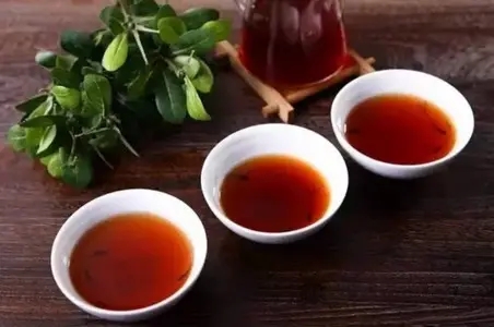 新人如何喝普洱茶？