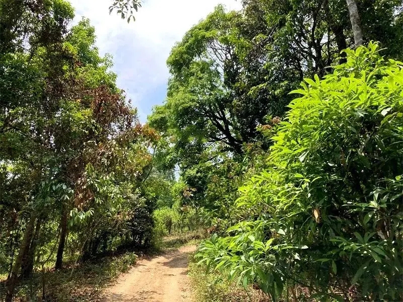 茶山紀(jì)實：犀牛塘，最近能火是有原因的