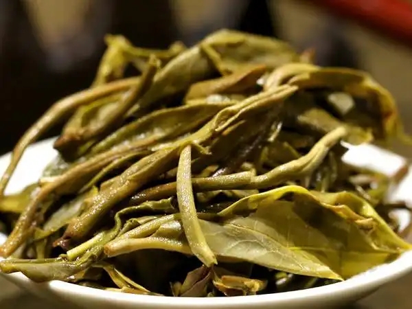 普洱茶好茶不怕“悶”，悶一悶看本味