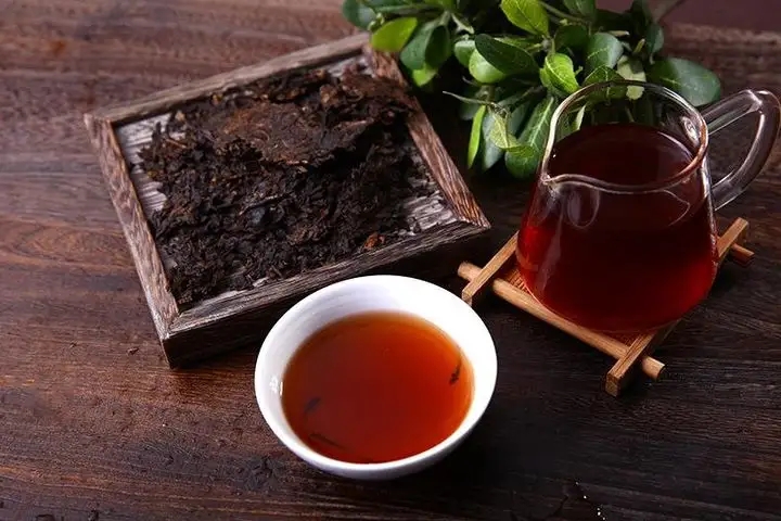 如何掌握好茶性，泡出一杯好喝的普洱熟茶？