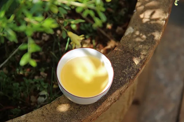 普洱茶越苦澀就代表品質(zhì)越好嗎？