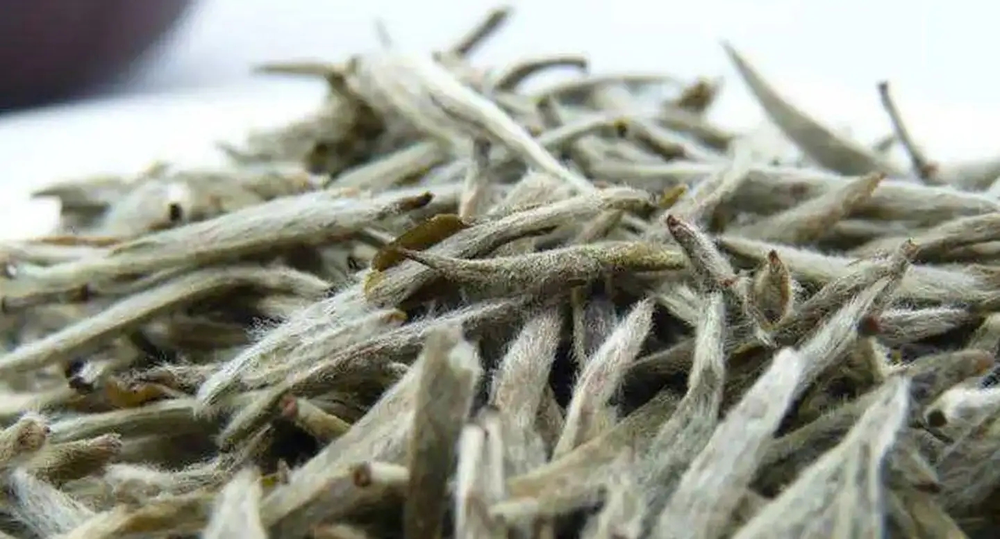 茶毫越多的茶，品質(zhì)就越高嗎？
