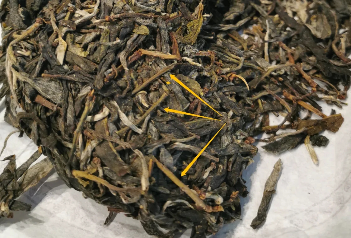 普洱茶的葉底有茶梗，就是茶不好嗎？