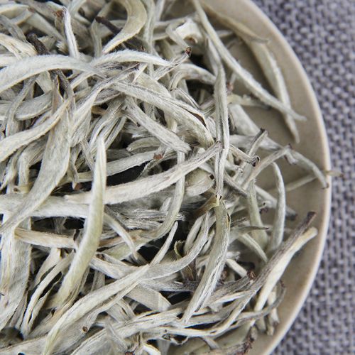 云南月光白，不一樣的白茶！