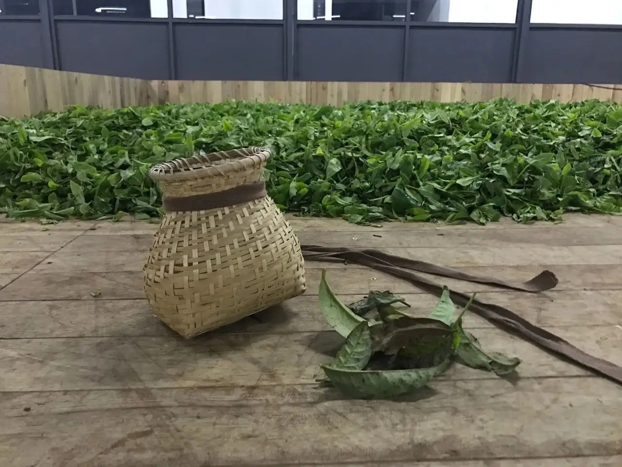 普洱茶，如果不談山頭，我們談什么？