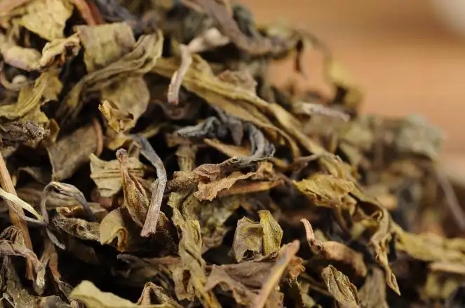 普洱茶里的“黃金葉”