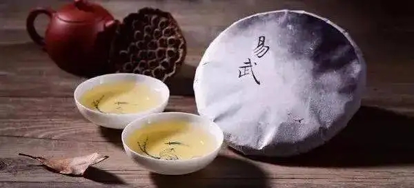 體驗(yàn)古樹普洱之美妙茶氣