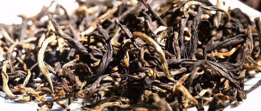 什么是茶氣？茶氣強(qiáng)勁又是一種怎樣的體驗(yàn)？