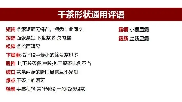 高級茶評員總結的評茶術語系列1：干茶形狀，不可不看！