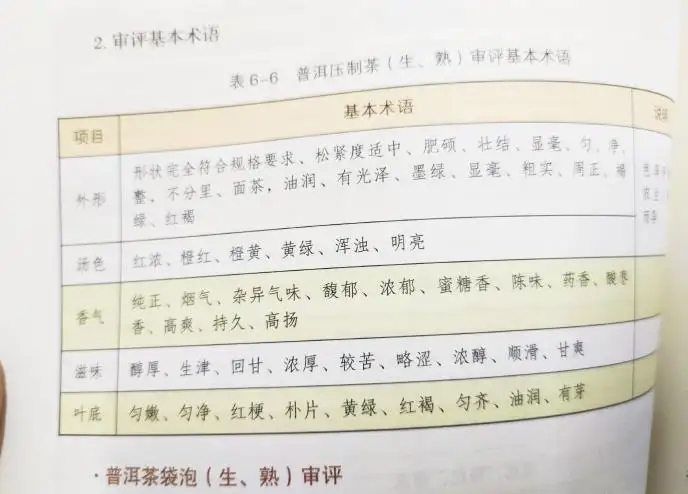 活學活用 ，一學就會的普洱茶口感術語