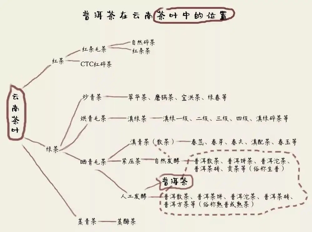 朱元璋“罷造龍團(tuán)”，散茶崛起，普洱茶特立獨(dú)行！