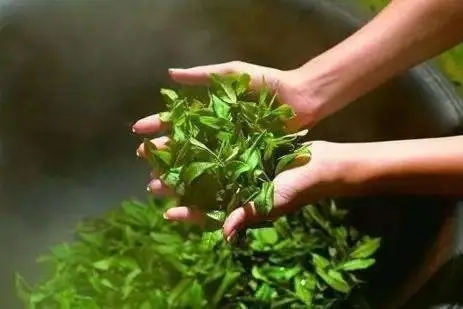 普洱怎么制作（普洱茶的傳統(tǒng)工藝和新工藝）