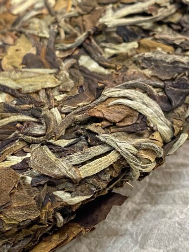 2023年拔瑪老寨古樹春茶特點是什么？