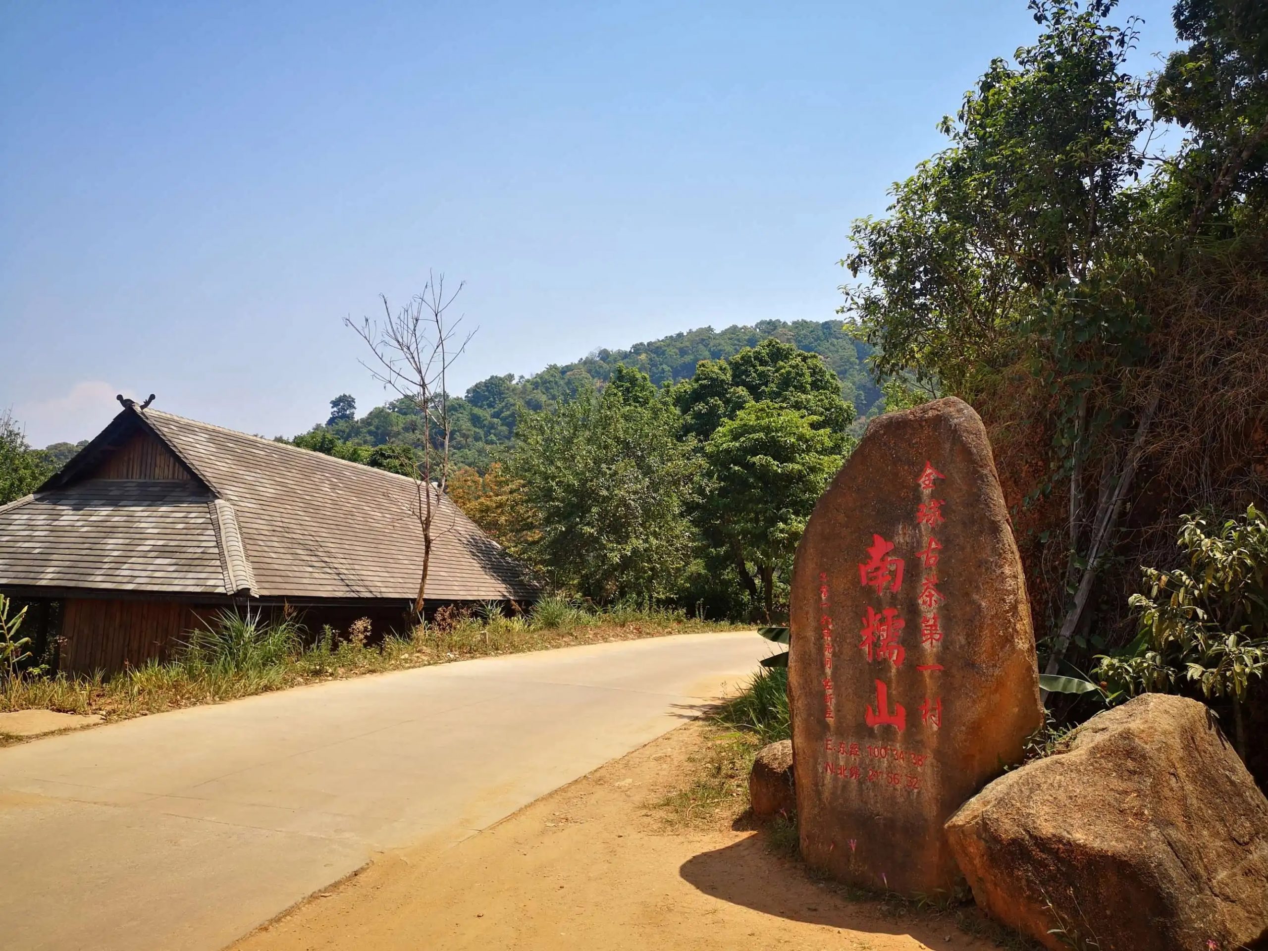 2023年南糯山古樹春茶品質(zhì)怎么樣？