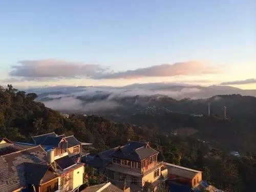 2023年南糯山古樹春茶多少一公斤？