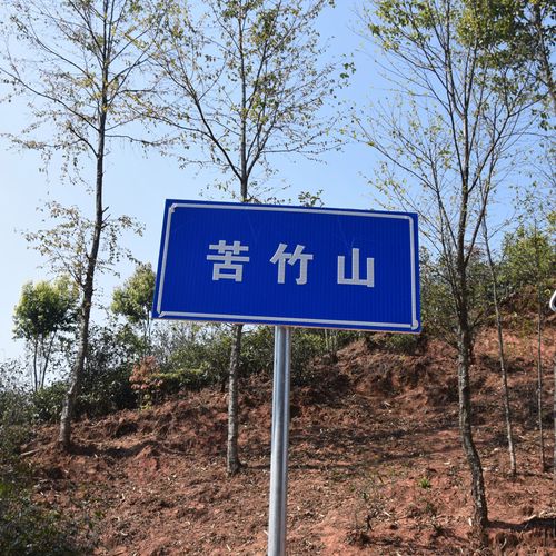 2023年苦竹山古樹春茶品質(zhì)如何？