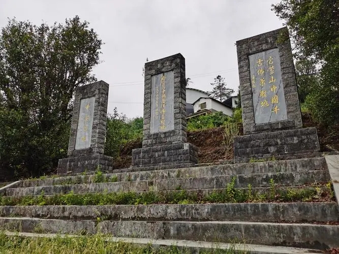 2023年白鶯山古樹春茶品質(zhì)如何？