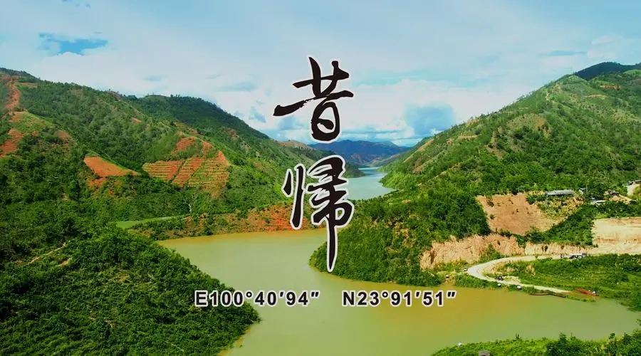 2023年昔歸古樹春茶品質(zhì)如何？