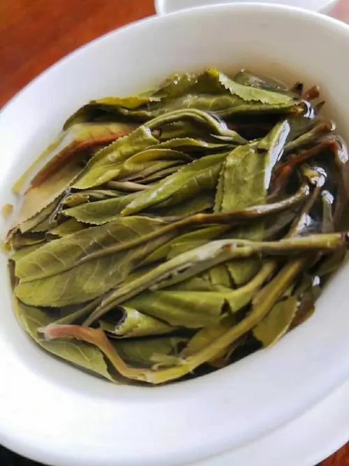 2023年鍋底塘古樹(shù)春茶特點(diǎn)是什么？