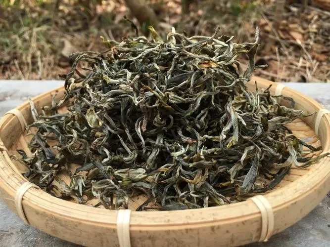 2023年易武張家灣古樹春茶品質(zhì)如何？