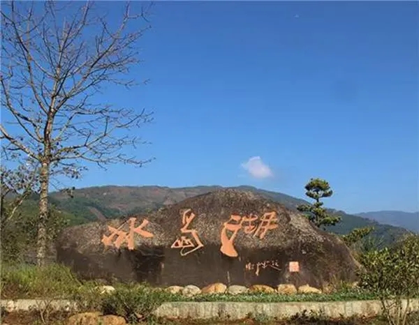 2024年冰島老寨古樹春茶品質(zhì)怎么樣？