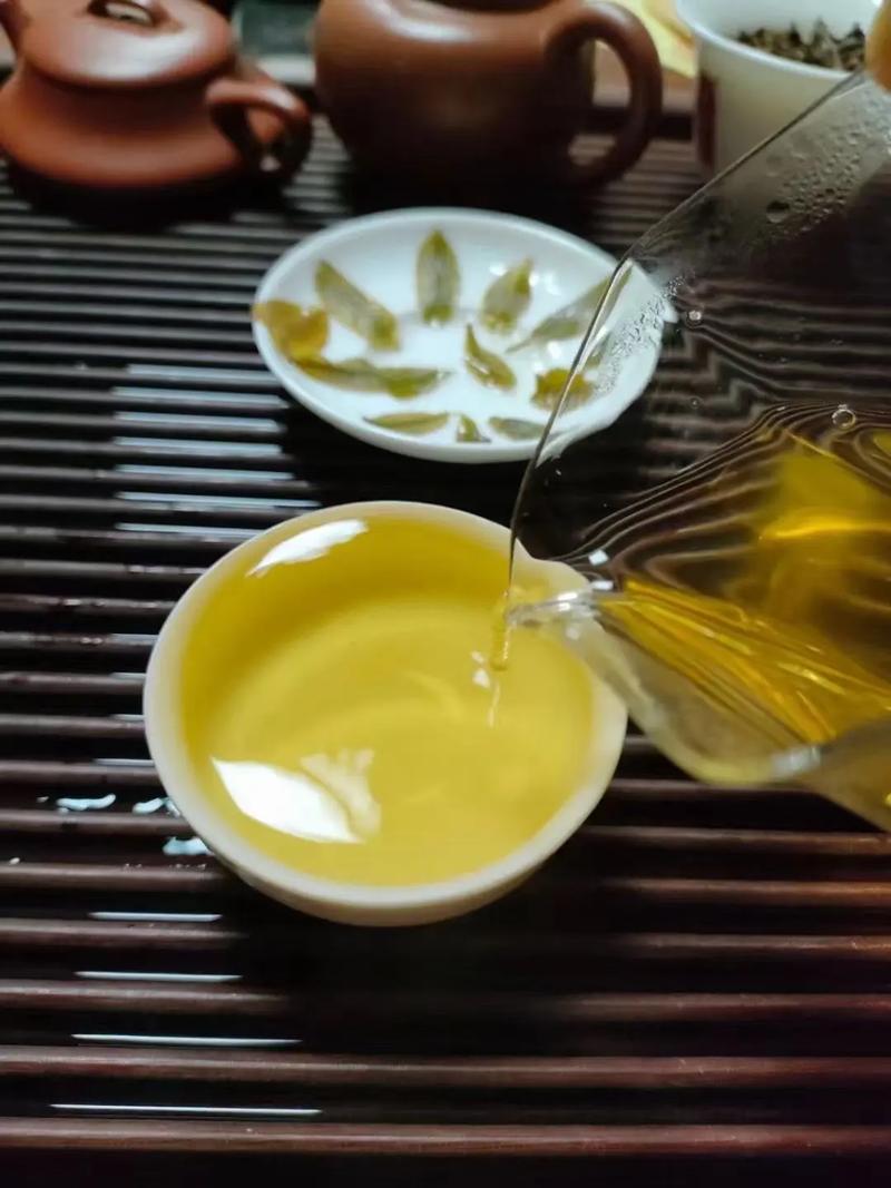 倚邦貢茶，甘甜醇柔